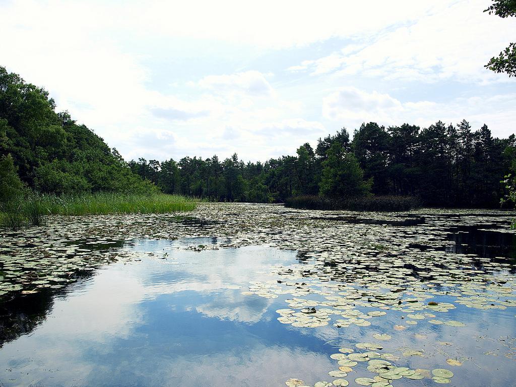 Domek Letniskowy Grazyna Villa โกปาลิโน ภายนอก รูปภาพ